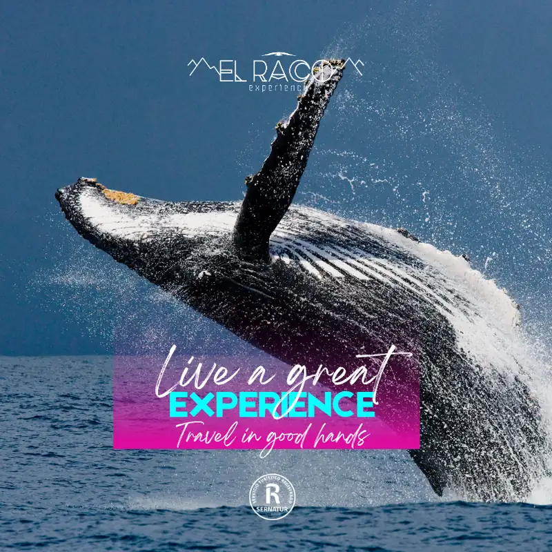 La Serena - Experience Program