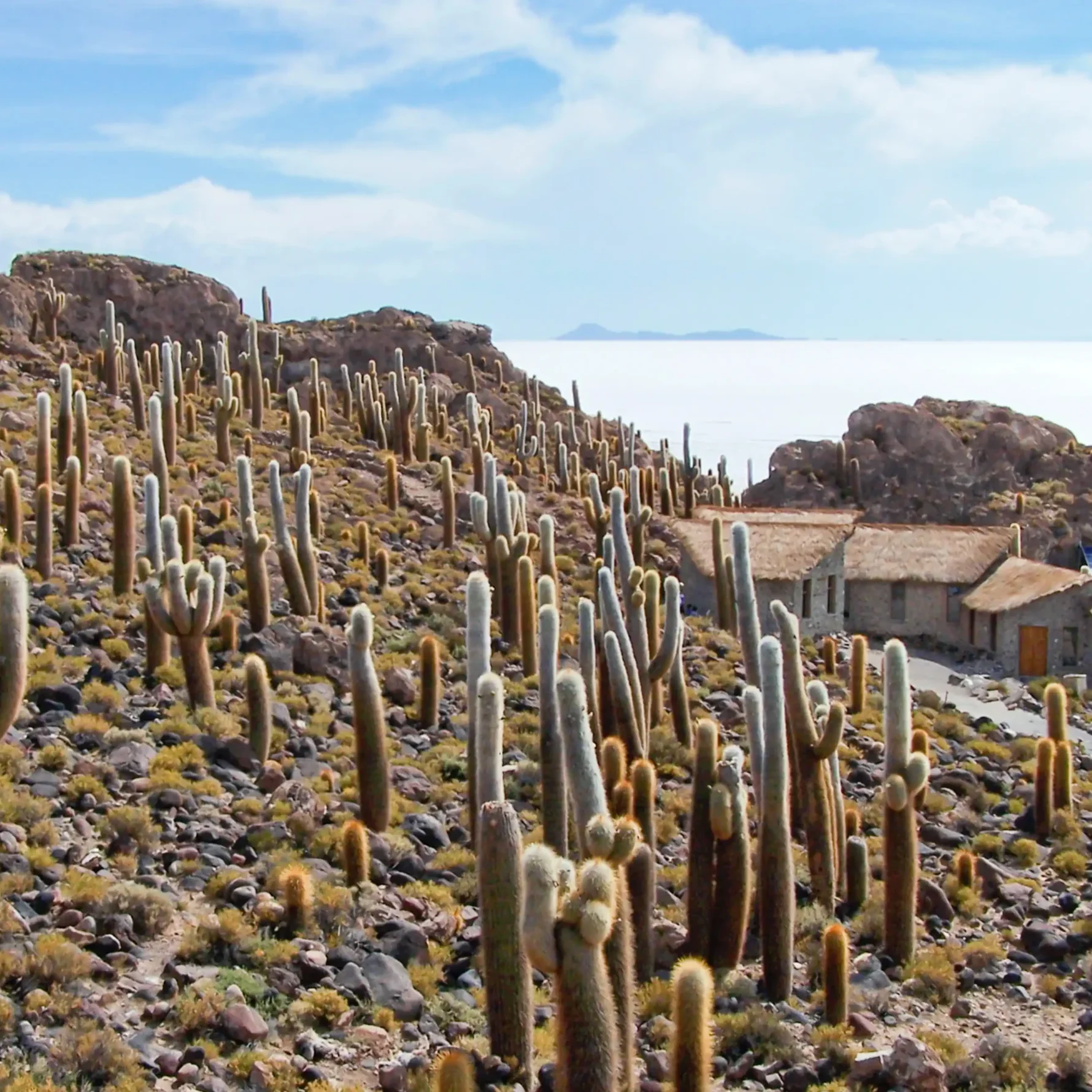 Programa Salar de Uyuni vía San Pedro de Atacama - Imagen 10