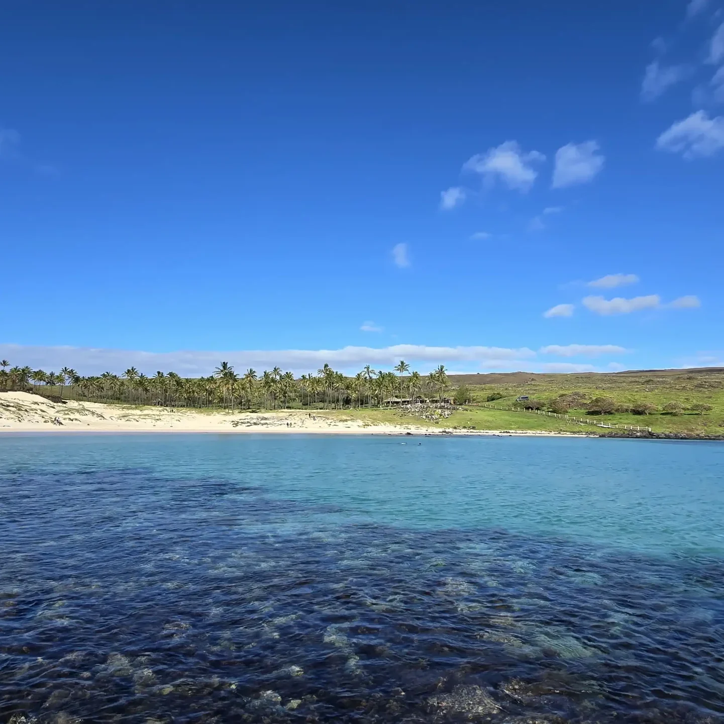 Rapa Nui - Programa Experience - Imagen 13