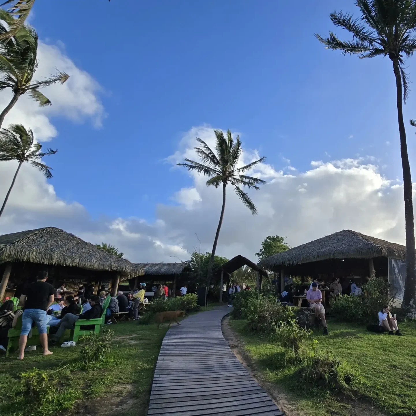 Rapa Nui - Programa Experience - Imagen 15