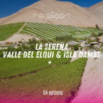 La Serena - Valle del Elqui - Isla Damas