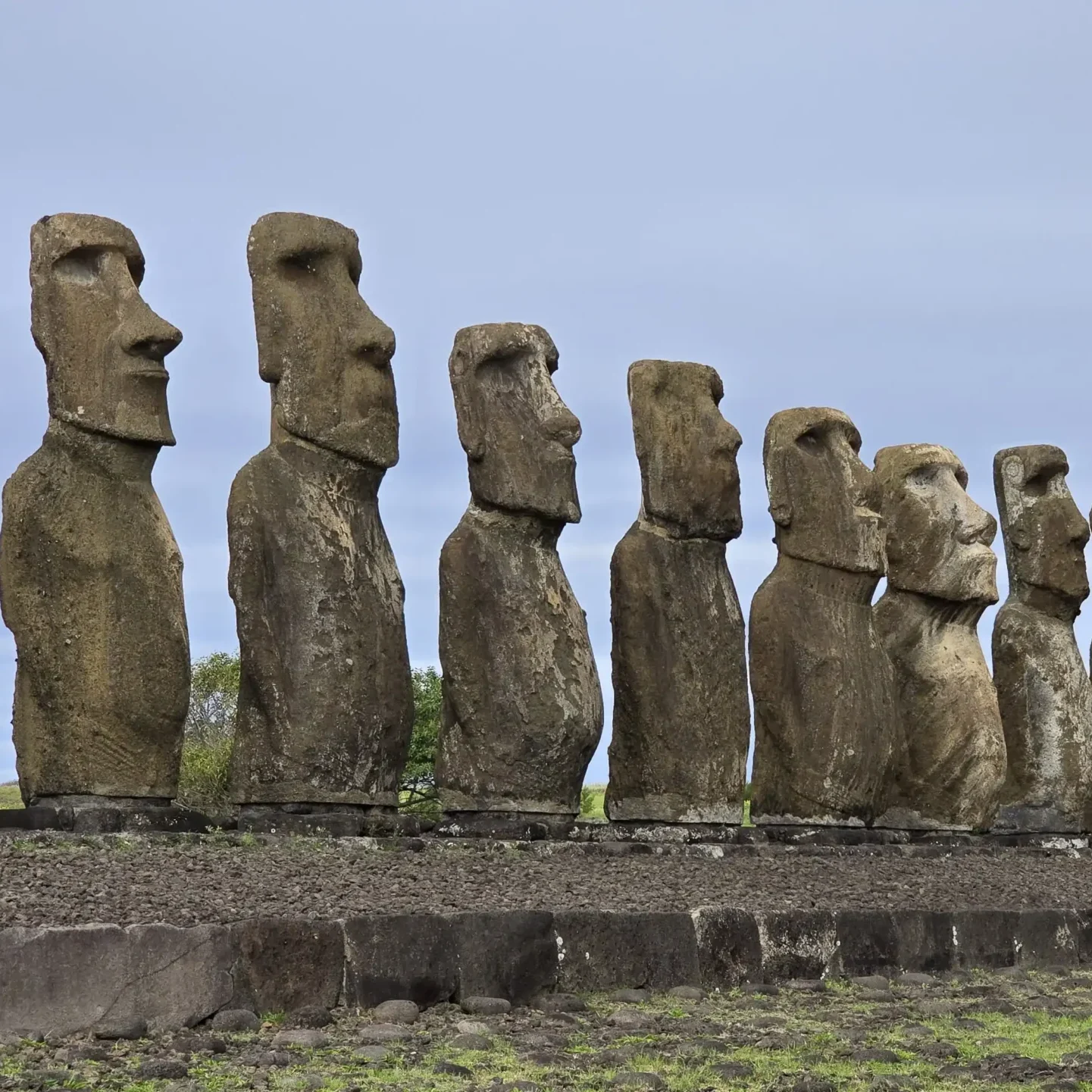 Rapa Nui - Programa Experience - Imagen 21