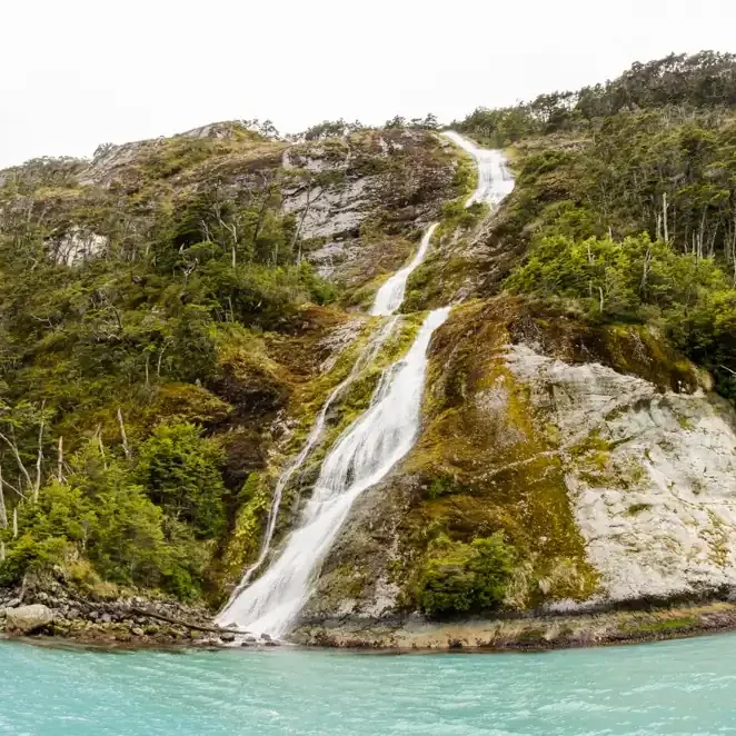 Tierra del Fuego - Programa Estrecho de Magallanes - Imagen 8