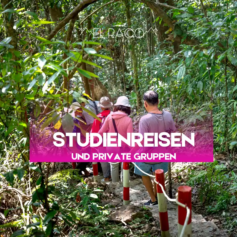 Studienreisen und Privatgruppen