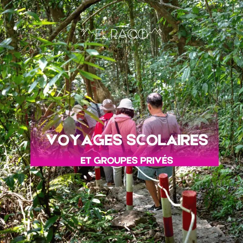 Voyages scolaires et groupes privés