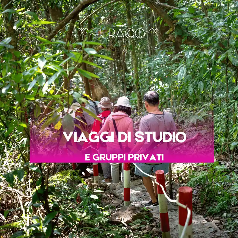 Viaggi di studio e gruppi privati