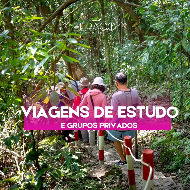 Viagens de Estudo e Grupos Privados