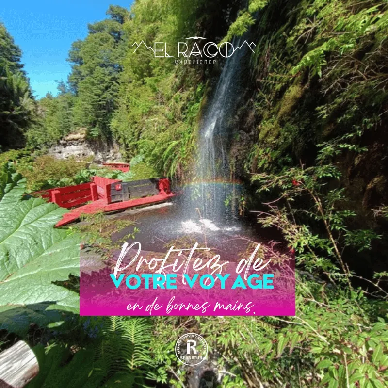 Pucón – Huilo Huilo et Termas Geométricas – Programme Expedition - El Raco Experience