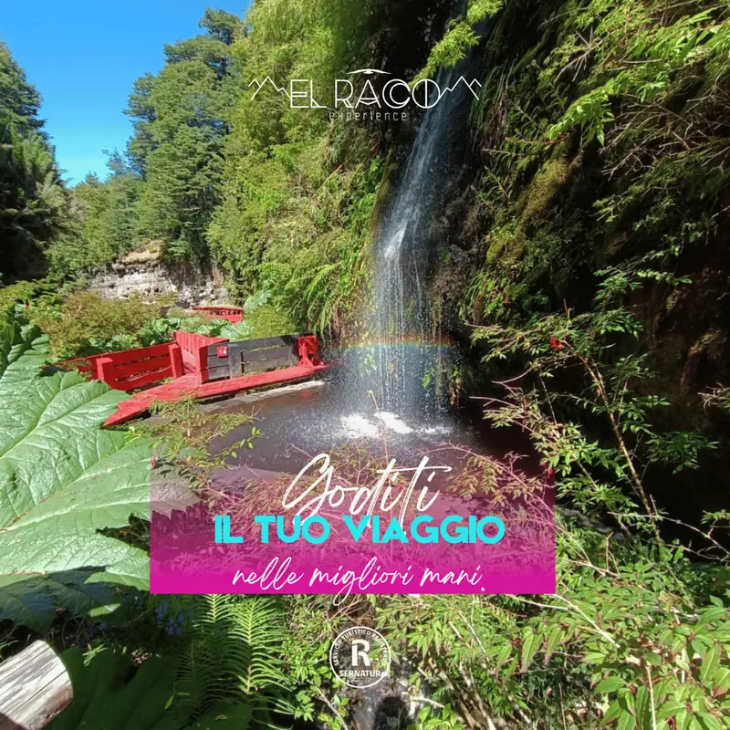 Pucón – Huilo Huilo e Termas Geométricas – Programma Expedition - El Raco Experience