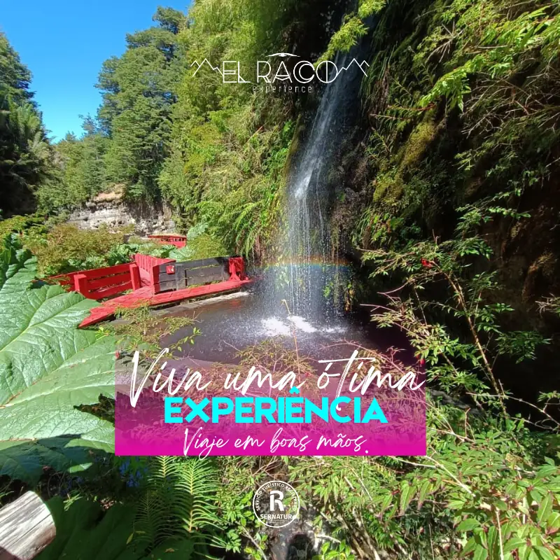Pucón – Huilo Huilo y Termas Geométricas – Programa Expedition - El Raco Experience