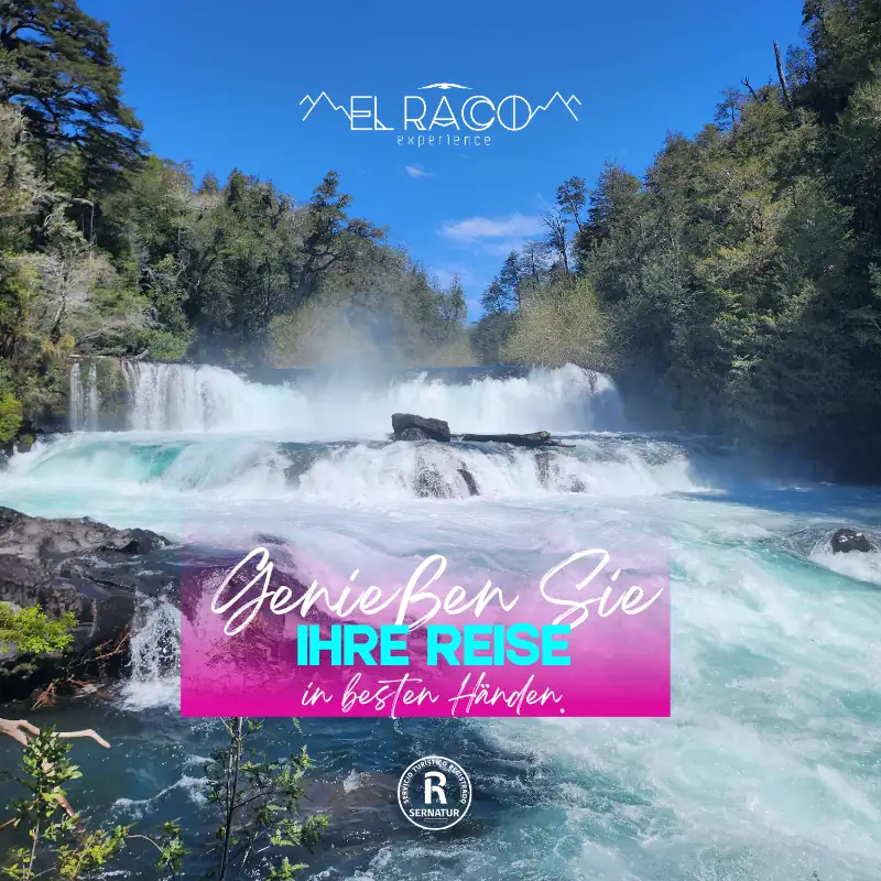 Pucón – Huilo Huilo y Termas Geométricas – Programa Explorer - El Raco Experience