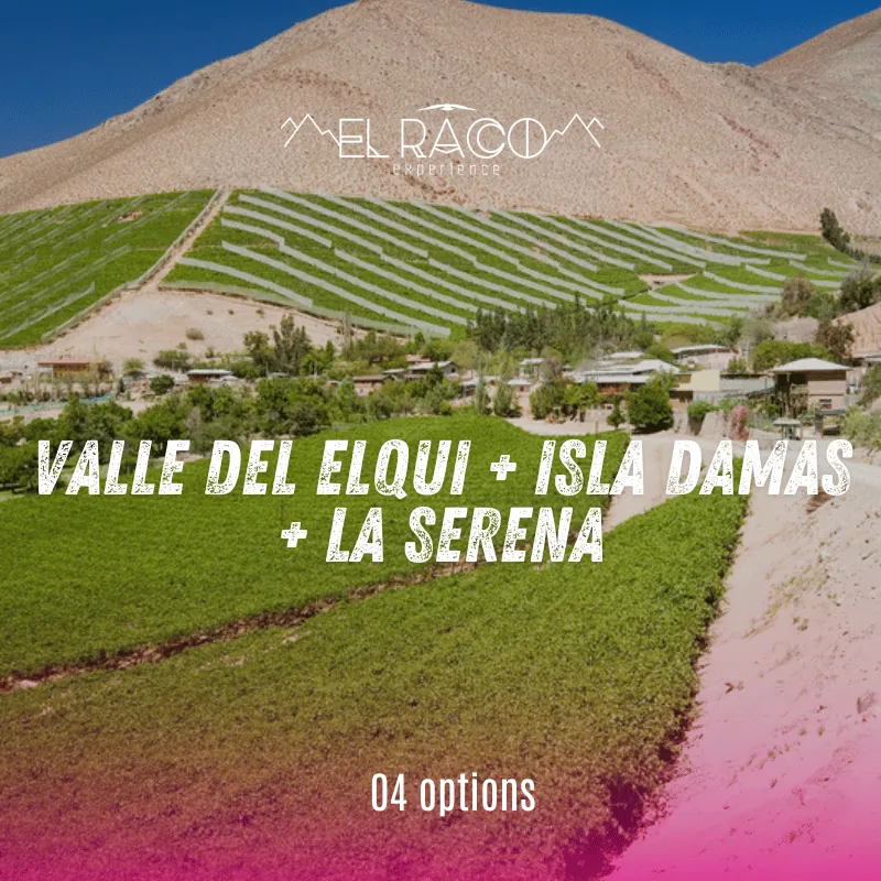 La Serena - Valle del Elqui - Isla Damas