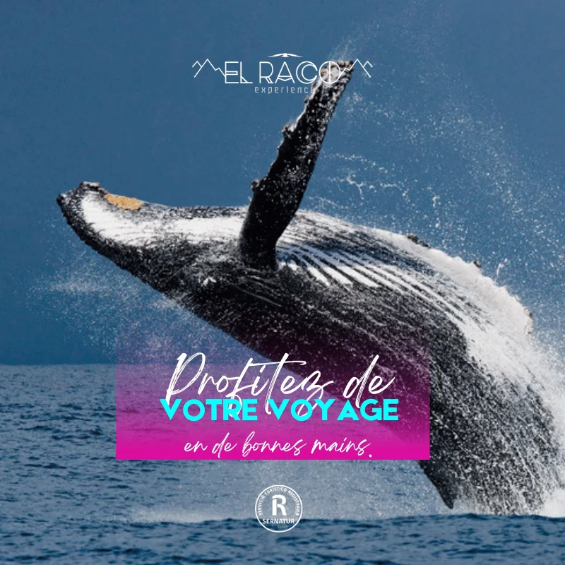 La Serena – Programme Experience - El Raco Experience