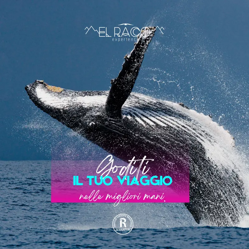 La Serena – Programma Experience - El Raco Experience