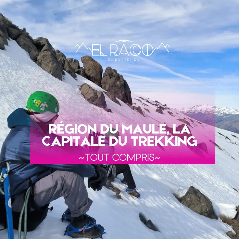Tout compris