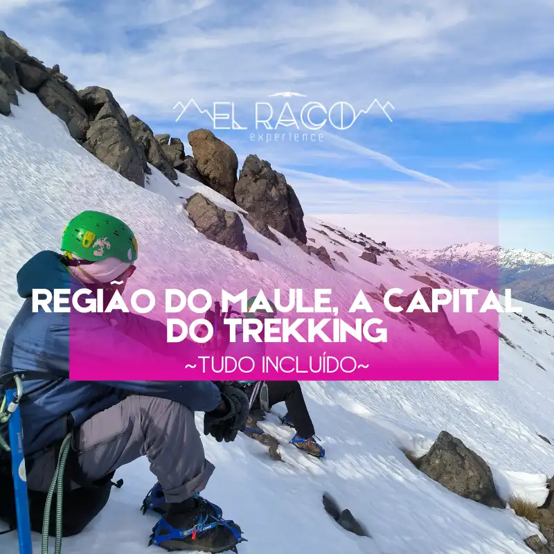 Com Tudo Incluído
