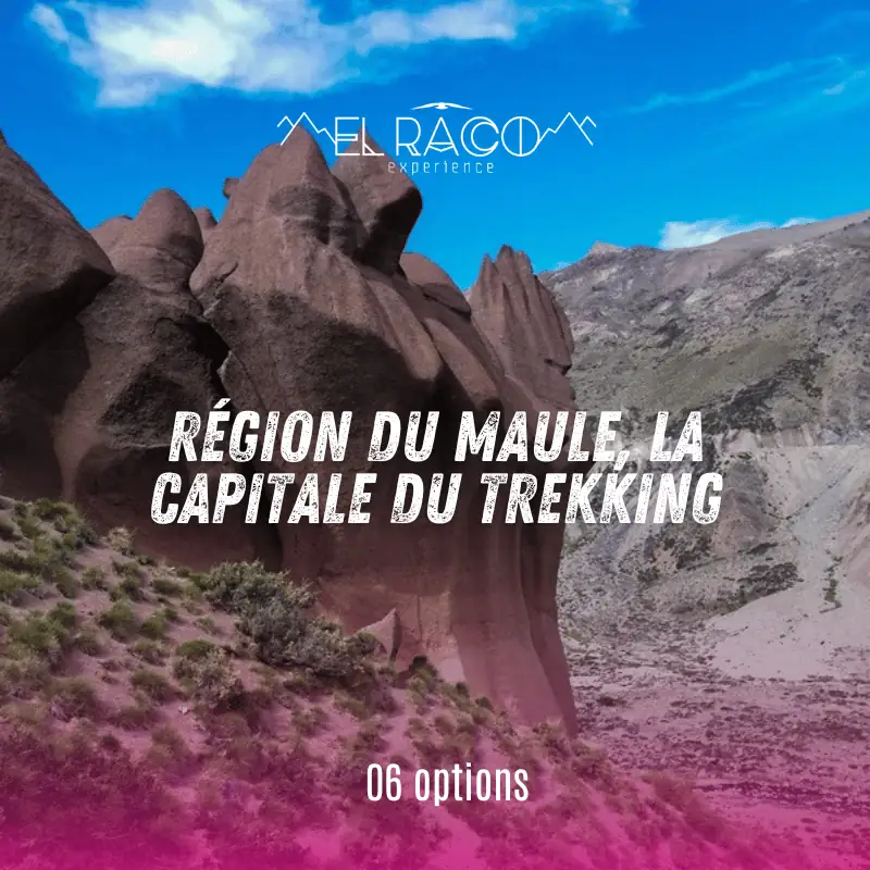 Région du Maule