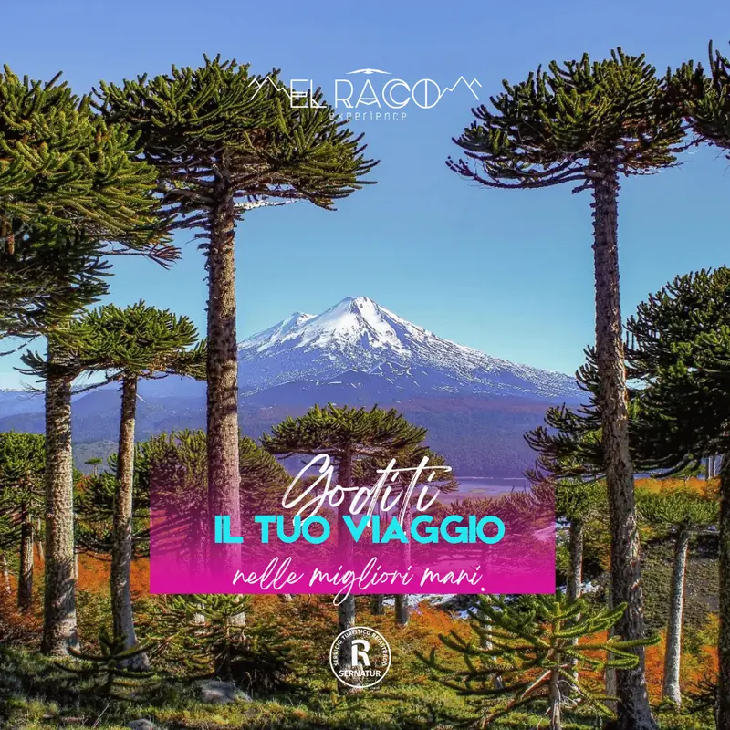 Melipeuco, Sollipulli, Conguillío e Sierra Nevada – Programma Experience - El Raco Experience