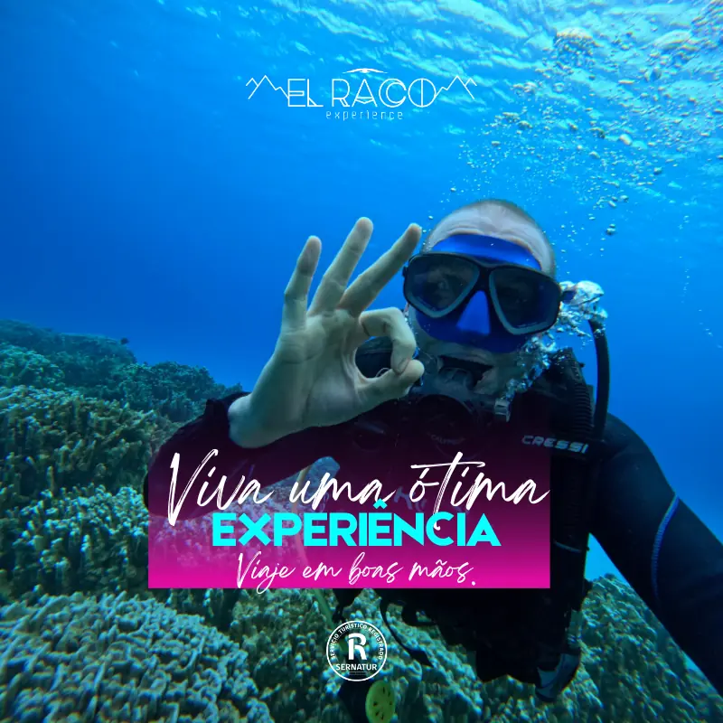 Rapa Nui – Programa Moana - El Raco Experience