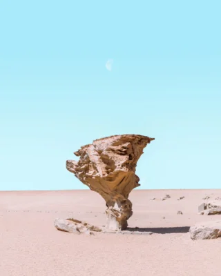 Nada mejor que viajar en buenas manos ☺️
Un viaje no siempre son solo vacaciones… Muchas veces es un sueño por cumplir, una meta personal 💪🏻
Por eso, vivir una buena experiencia no es un detalle: es fundamental.En cada viaje, ponemos el mismo cuidado como si fuera el nuestro. Porque sabemos que cuando todo sale bien, los recuerdos duran para siempre ❤️Nuestro destinos:📍 Salar de Uyuni Vía San Pedro: 1 opción única📍 Rapa Nui: 4 opciones increíbles📍 Torres del Paine: 7 opciones espectaculares📍 Huilo Huilo y Termas Geométricas: 3 opciones relajantes📍 Carretera Austral: 4 opciones de aventura📍 San Pedro de Atacama: 4 opciones inolvidables📍 Tierra del Fuego: 3 opciones fascinantes📍 Puerto Varas + Chiloé: 4 alternativas maravillosas📍 Valle del Elqui, La Serena e Isla Damas: 3 increíbles programas📍 Pucón, Villarrica y Alrrededores: 4 opciones de aventura📍 Melipeuco, Sollipulli, Sierra Nevada y Conguillio: 1 épica odisea📍Región Del Maule: 6 alternativas Primavera, Verano, invierno💳 Formas de Pago:- WebPay.cl / Tarjeta de Crédito o Débito- Transferencia Bancaria- Crédito Directo¡Comenta o mándanos un DM para más información y escoge el programa que mejor se adapte a tus sueños de viaje! 🌟📩También puedes llamarnos para recibir asesoramiento personalizado en línea. 📞💬Consultas, reservas y más:🌐 Sitio web: www.elracoexperience.com📧 Correo: reservaselracoexperience@gmail.com📱 WhatsApp: +56978296739🇨🇱 Sernatur registro: 69766No olvides revisar nuestras historias destacadas y nuestro feed para más inspiración. 😎 Gracias a todos los viajeros por compartir sus fotos, videos y comentarios sobre sus experiencias con nosotros. 💖¡Viajar en buenas manos se nota! ¡Únete a la aventura segura con nosotros! 🌍✈️#rapanui🗿 #Isladepascua #Laserena #Torresdelpaine #Carreteraaustral #termasgeometricas #Huilohuilo #Pucon #carreteraaustral #Puertovaras #treking #maule #Uyuni #Sanpedrodeatacama