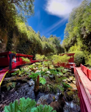 Un viaje no siempre son solo vacaciones… Muchas veces es un sueño por cumplir, una meta personal 💪🏻En cada viaje, ponemos el mismo cuidado como si fuera el nuestro. Porque sabemos que cuando todo sale bien, los recuerdos duran para siempre ❤️Por eso, vivir una buena experiencia no es un detalle: es fundamental. Y nada mejor que viajar en buenas manos ☺️Nuestro destinos:📍 Salar de Uyuni Vía San Pedro: 1 opción única📍 Rapa Nui: 4 opciones increíbles📍 Torres del Paine: 7 opciones espectaculares📍 Huilo Huilo y Termas Geométricas: 3 opciones relajantes📍 Carretera Austral: 4 opciones de aventura📍 San Pedro de Atacama: 4 opciones inolvidables📍 Tierra del Fuego: 3 opciones fascinantes📍 Puerto Varas + Chiloé: 4 alternativas maravillosas📍 Valle del Elqui, La Serena e Isla Damas: 3 increíbles programas📍 Pucón, Villarrica y Alrrededores: 4 opciones de aventura📍 Melipeuco, Sollipulli, Sierra Nevada y Conguillio: 1 épica odisea📍Región Del Maule: 6 alternativas Primavera, Verano, invierno💳 Formas de Pago:- WebPay.cl / Tarjeta de Crédito o Débito- Transferencia Bancaria- Crédito Directo¡Comenta o mándanos un DM para más información y escoge el programa que mejor se adapte a tus sueños de viaje! 🌟📩También puedes llamarnos para recibir asesoramiento personalizado en línea. 📞💬Consultas, reservas y más:🌐 Sitio web: www.elracoexperience.com📧 Correo: reservaselracoexperience@gmail.com📱 WhatsApp: +56978296739🇨🇱 Sernatur registro: 69766No olvides revisar nuestras historias destacadas y nuestro feed para más inspiración. 😎 Gracias a todos los viajeros por compartir sus fotos, videos y comentarios sobre sus experiencias con nosotros. 💖¡Viajar en buenas manos se nota! ¡Únete a la aventura segura con nosotros! 🌍✈️#rapanui🗿 #Isladepascua #Laserena #Torresdelpaine #Carreteraaustral