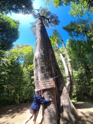 Nada mejor que viajar en buenas manos ☺️
Un viaje no siempre son solo vacaciones… Muchas veces es un sueño por cumplir, una meta personal 💪🏻En cada viaje, ponemos el mismo cuidado como si fuera el nuestro. Porque sabemos que cuando todo sale bien, los recuerdos duran para siempre ❤️Por eso, vivir una buena experiencia no es un detalle: es fundamental.Nuestro destinos:📍 Salar de Uyuni Vía San Pedro: 1 opción única📍 Rapa Nui: 4 opciones increíbles📍 Torres del Paine: 7 opciones espectaculares📍 Huilo Huilo y Termas Geométricas: 3 opciones relajantes📍 Carretera Austral: 4 opciones de aventura📍 San Pedro de Atacama: 4 opciones inolvidables📍 Tierra del Fuego: 3 opciones fascinantes📍 Puerto Varas + Chiloé: 4 alternativas maravillosas📍 Valle del Elqui, La Serena e Isla Damas: 3 increíbles programas📍 Pucón, Villarrica y Alrrededores: 4 opciones de aventura📍 Melipeuco, Sollipulli, Sierra Nevada y Conguillio: 1 épica odisea📍Región Del Maule: 6 alternativas Primavera, Verano, invierno💳 Formas de Pago:- WebPay.cl / Tarjeta de Crédito o Débito- Transferencia Bancaria- Crédito Directo¡Comenta o mándanos un DM para más información y escoge el programa que mejor se adapte a tus sueños de viaje! 🌟📩También puedes llamarnos para recibir asesoramiento personalizado en línea. 📞💬Consultas, reservas y más:🌐 Sitio web: www.elracoexperience.com📧 Correo: reservaselracoexperience@gmail.com📱 WhatsApp: +56978296739🇨🇱 Sernatur registro: 69766No olvides revisar nuestras historias destacadas y nuestro feed para más inspiración. 😎 Gracias a todos los viajeros por compartir sus fotos, videos y comentarios sobre sus experiencias con nosotros. 💖¡Viajar en buenas manos se nota! ¡Únete a la aventura segura con nosotros! 🌍✈️#rapanui🗿 #Isladepascua #Laserena #Torresdelpaine #Carreteraaustral