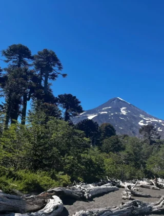 Nada mejor que viajar en buenas manos ☺️
Un viaje no siempre son solo vacaciones… Muchas veces es un sueño por cumplir, una meta personal 💪🏻

En cada viaje, ponemos el mismo cuidado como si fuera el nuestro. Porque sabemos que cuando todo sale bien, los recuerdos duran para siempre ❤️

Por eso, vivir una buena experiencia no es un detalle: es fundamental.

Nuestro destinos:

📍 Salar de Uyuni Vía San Pedro: 1 opción única 

📍 Rapa Nui: 4 opciones increíbles 

📍 Torres del Paine: 7 opciones espectaculares 

📍 Huilo Huilo y Termas Geométricas: 3 opciones relajantes 

📍 Carretera Austral: 4 opciones de aventura 

📍 San Pedro de Atacama: 4 opciones inolvidables 

📍 Tierra del Fuego: 3 opciones fascinantes 

📍 Puerto Varas + Chiloé: 4 alternativas maravillosas 

📍 Valle del Elqui, La Serena e Isla Damas: 3 increíbles programas 

📍 Pucón, Villarrica y Alrrededores: 4 opciones de aventura 

📍 Melipeuco, Sollipulli, Sierra Nevada y Conguillio: 1 épica odisea 

📍Región Del Maule: 6 alternativas Primavera, Verano, invierno 

💳 Formas de Pago:

- WebPay.cl / Tarjeta de Crédito o Débito

- Transferencia Bancaria

- Crédito Directo 

¡Comenta o mándanos un DM para más información y escoge el programa que mejor se adapte a tus sueños de viaje! 🌟📩 

También puedes llamarnos para recibir asesoramiento personalizado en línea. 📞💬 

Consultas, reservas y más:

🌐 Sitio web: www.elracoexperience.com

📧 Correo: reservaselracoexperience@gmail.com

📱 WhatsApp: +56978296739

🇨🇱 Sernatur registro: 69766 

No olvides revisar nuestras historias destacadas y nuestro feed para más inspiración. 😎 Gracias a todos los viajeros por compartir sus fotos, videos y comentarios sobre sus experiencias con nosotros. 💖 

¡Viajar en buenas manos se nota! ¡Únete a la aventura segura con nosotros! 🌍✈️ 

#rapanui🗿 #Isladepascua #Laserena #Torresdelpaine #Carreteraaustral