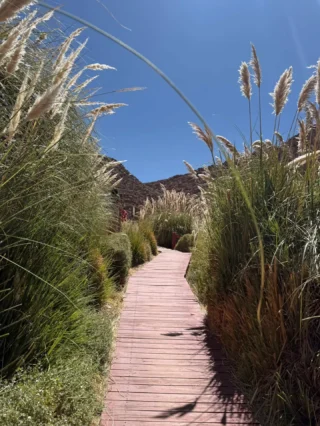 San Pedro de Atacama parece de otro planeta. Y quizás por eso nunca se olvida 🌋✨En el corazón del desierto más árido del mundo, San Pedro de Atacama sorprende con paisajes que cambian por completo a cada recorrido: salares, lagunas altiplánicas, volcanes, géiseres, formaciones rocosas y cielos que por la noche muestran miles de estrellas.Puedes recorrer lugares emblemáticos como el Valle de la Luna, Piedras Rojas, las Lagunas Altiplánicas o los Géiseres del Tatio, descubriendo una de las zonas más impresionantes del norte de Chile.En El Raco Experience organizamos tu viaje para que puedas disfrutar cada experiencia con tranquilidad: vuelos, traslados, alojamiento, excursiones y asistencia durante todo tu viaje.Hay lugares que parecen imposibles hasta que estás ahí. San Pedro de Atacama es uno de ellos ❤️🇨🇱Conoce nuestros programas en elracoexperience.com#SanPedroDeAtacama #DesiertoDeAtacama #AtacamaChile #ViajarPorChile #ChileTravel