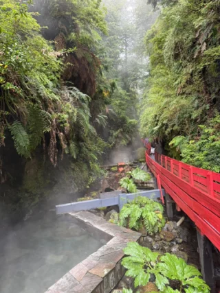 Hay lugares donde la naturaleza parece haberlo pensado todo 🌿✨En el sur de Chile puedes despertar frente a volcanes, recorrer bosques húmedos, descubrir saltos de agua escondidos y terminar el día sumergido en aguas termales rodeado de vegetación ♨️🏔️Pucón es aventura, lagos, naturaleza y ese inconfundible paisaje dominado por el volcán Villarrica 🌋Más al sur, Huilo Huilo parece sacado de un cuento: senderos entre bosque nativo, cascadas, fauna y rincones donde la Patagonia Verde muestra una de sus caras más mágicas 🌲💧Y después de recorrer, caminar y descubrir… llegan las termas 💙Aguas calientes, bosque alrededor, vapor entre los árboles y esa sensación de estar completamente desconectado del mundoPuedes conocer lagos, volcanes, reservas naturales, saltos de agua, pueblos cordilleranos y termas en un mismo viaje, recorriendo uno de los sectores más hermosos del sur de Chile 🇨🇱Porque esta parte del país no se trata solamente de visitar lugares…Se trata de sentir el bosque, respirar montaña, escuchar el agua y dejar que el sur haga el resto ✨#Pucón #HuiloHuilo #Termas #SurDeChile #ElRacoExperience